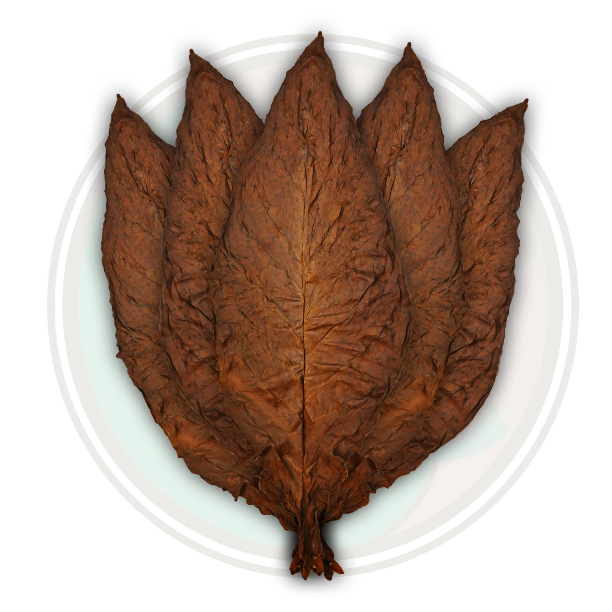 PA-KY Fronto PA-KY Fronto
